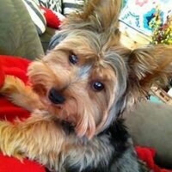 Meet your Posher, Kimberly - Picture 1 of 1